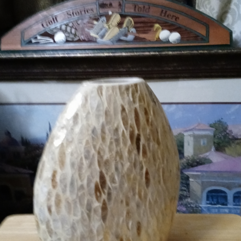 π€πFire Fly Mother of pearl vaseππππSize 12"Γ11",A Nice Gift Item.ππππ - Picture 7 of 7
